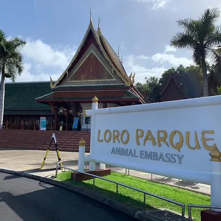 Superbe Avec Vue Sur L Ocean 아파트 칼라오살바헤