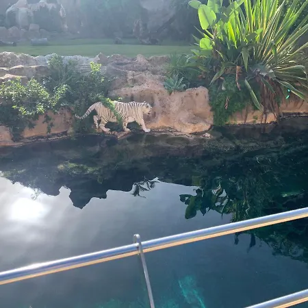 아파트 Superbe Avec Vue Sur L Ocean