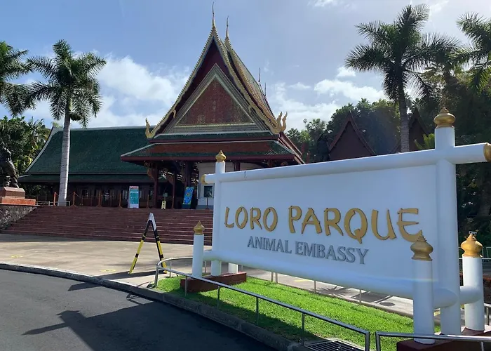 Superbe Avec Vue Sur L Ocean Apartment Callao Salvaje