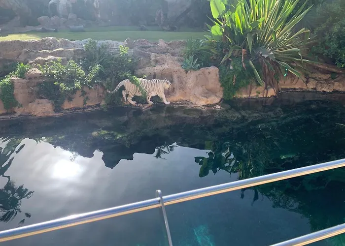 Lägenhet Superbe Avec Vue Sur L Ocean