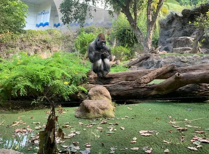 Superbe Avec Vue Sur L Ocean *